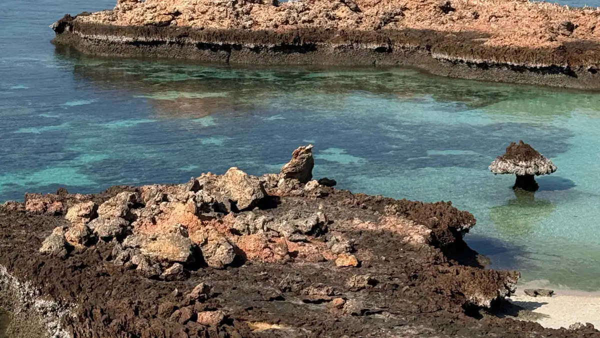 White sand beach and rocky islet in the Daymaniyat Islands Nature Reserve seen on a snorkeling tour from Al Mouj Marina, Oman